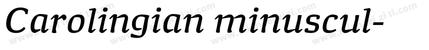 Carolingian minuscul字体转换